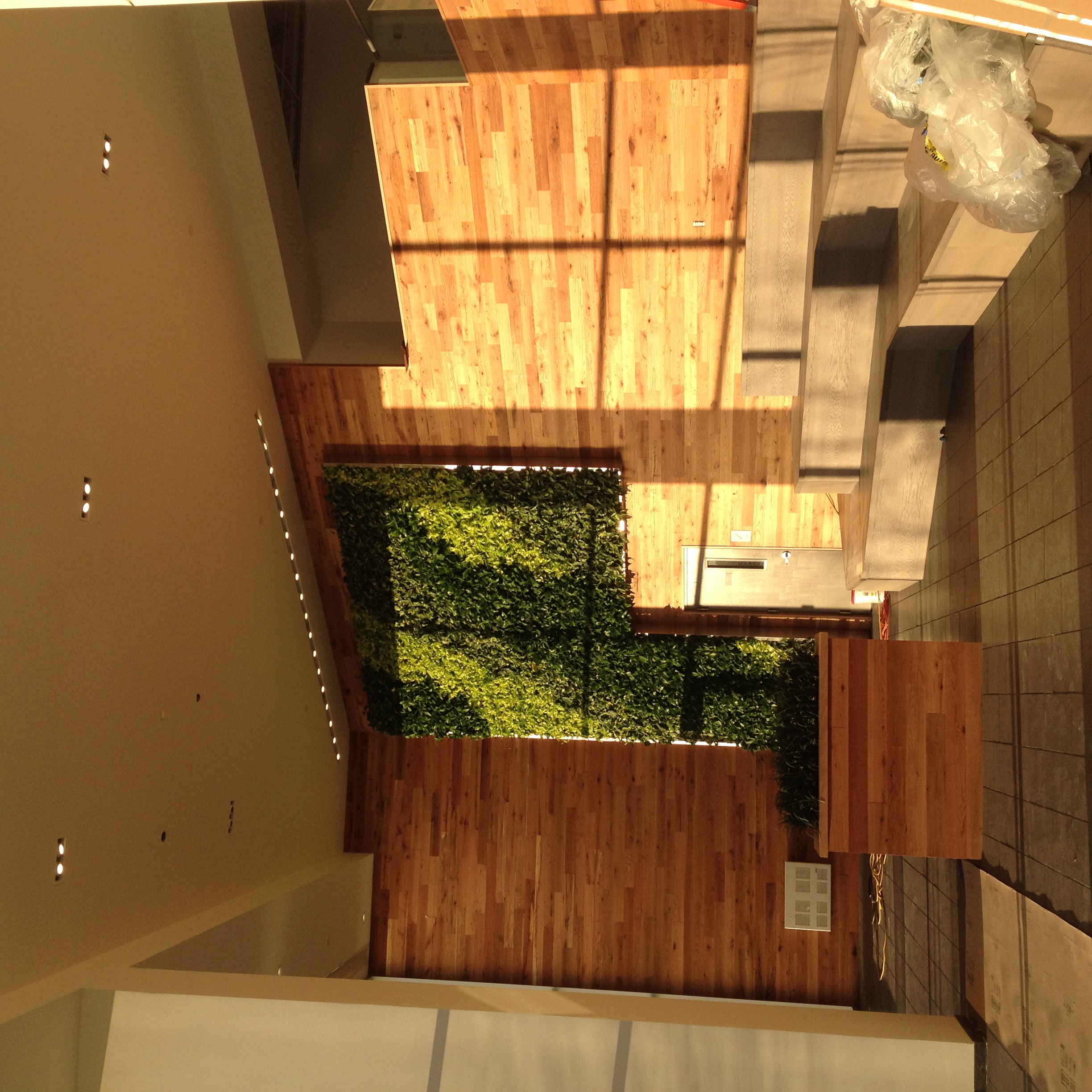 Custom commercial lobby lighting with living wall
